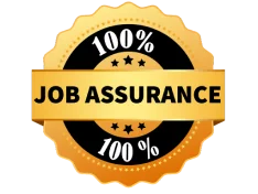 100% Job Assurance 